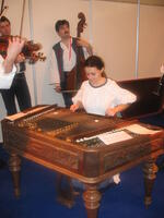 Folklorní soubor Valašský Vojvoda, SLPT, Kozlovice